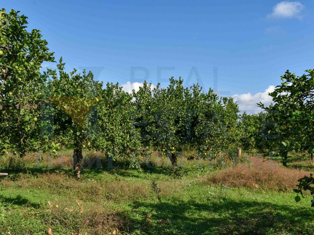 Terreno a Noto in Contrada Busulmone - Foto 2