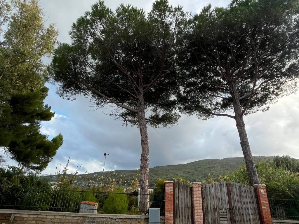 Terreno a Orbetello - Foto 2