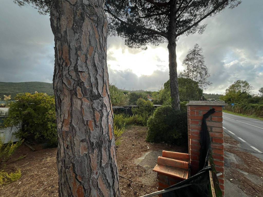 Terreno a Orbetello - Foto 3