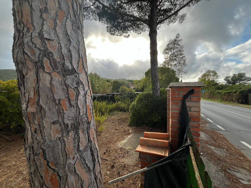 Terreno a Orbetello - Foto 4