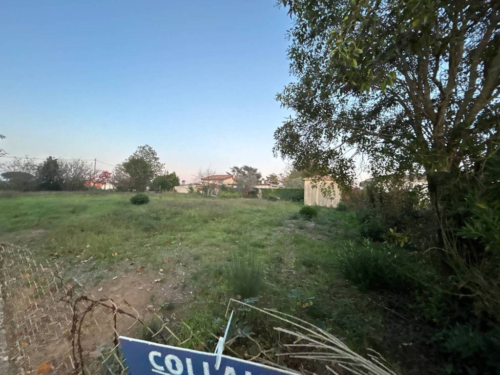 Rustico / casale a Nettuno in Via Lago di Cecita, 8 - Foto 4