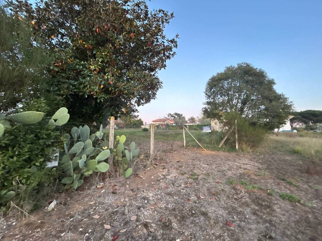 Rustico / casale a Nettuno in Via Lago di Cecita, 8 - Foto 5
