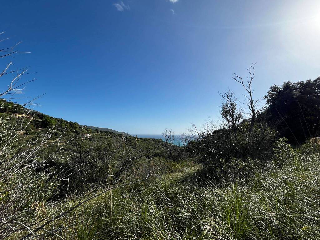 Terreno a Monte argentario - Foto 2