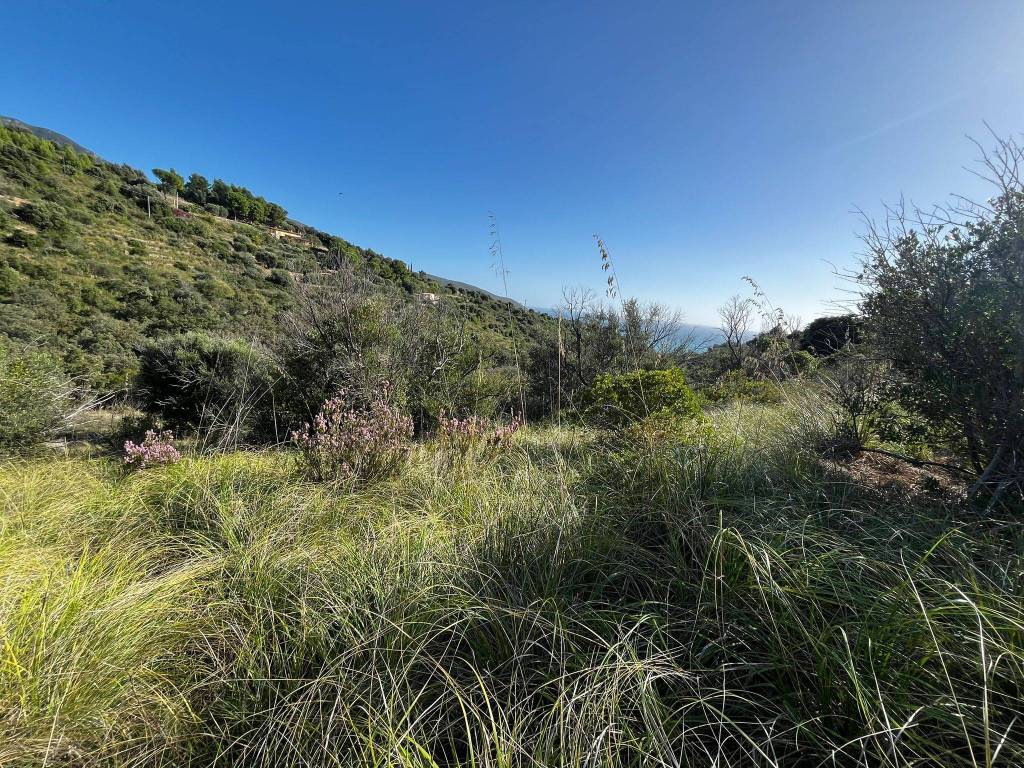 Terreno a Monte argentario - Foto 5