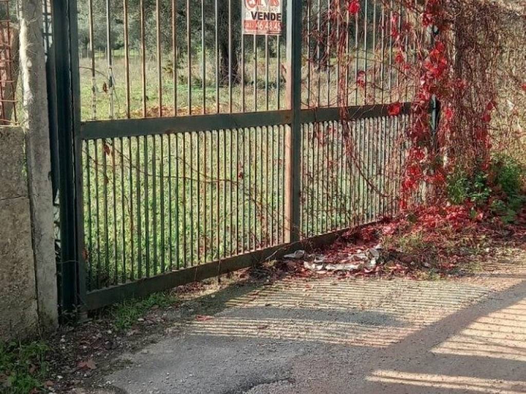 Terreno a Caserta - Foto 3