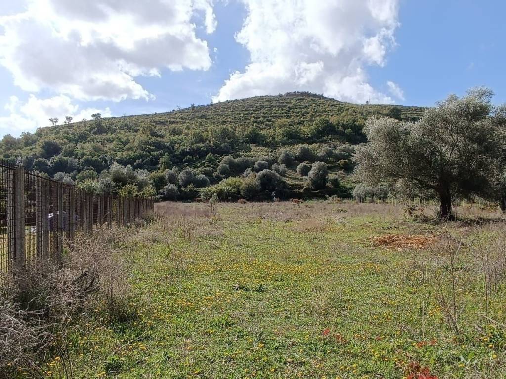 Terreno a Caserta - Foto 5