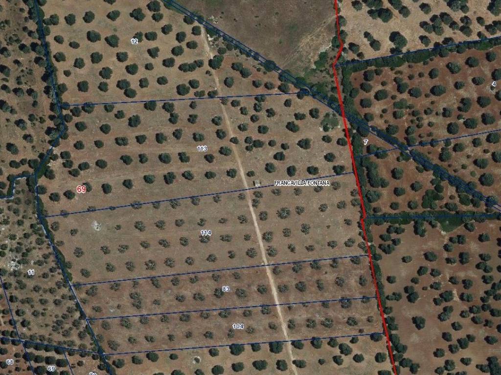 Terreno a Francavilla fontana in SP50 - Foto 2