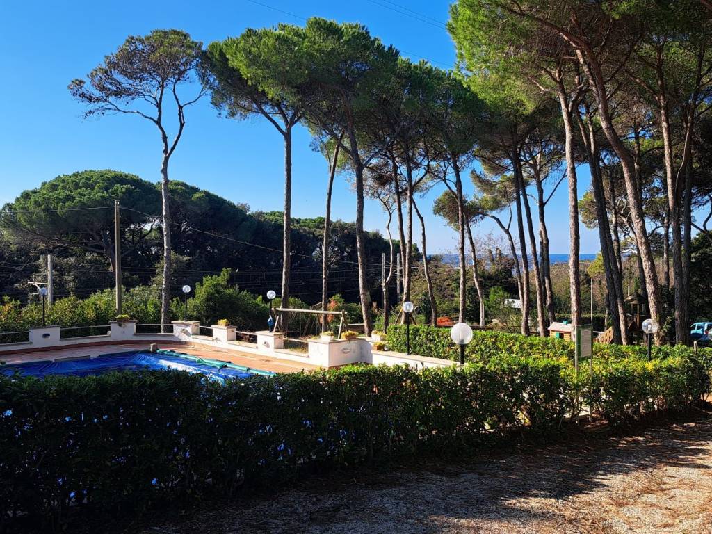 Appartamento a Rosignano marittimo in Via Aurelia - Foto 3