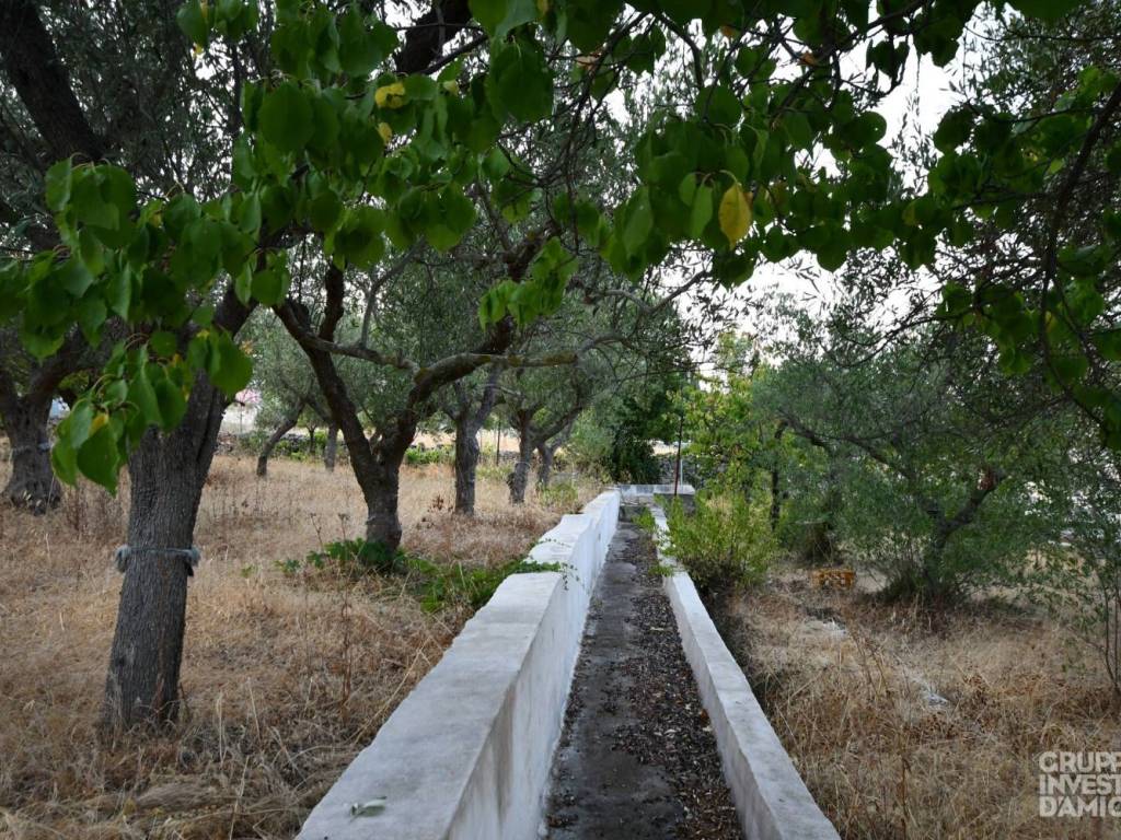 Rustico / casale a Locorotondo in Contrada Pozzallegro - Foto 3