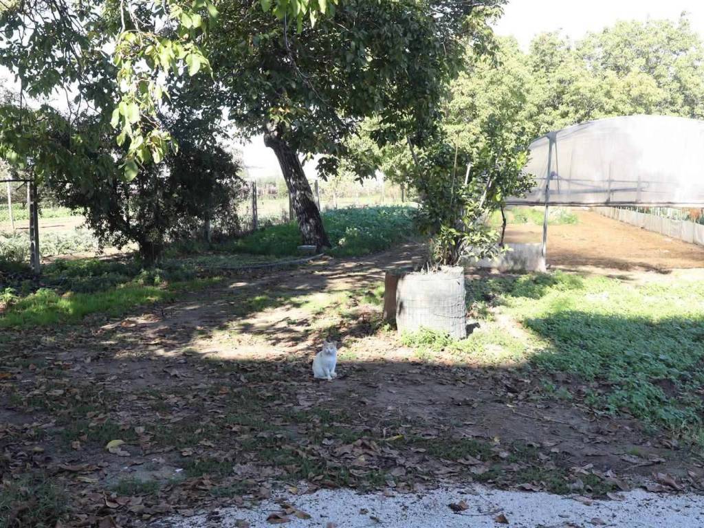 Terreno a Santa maria capua vetere - Foto 2