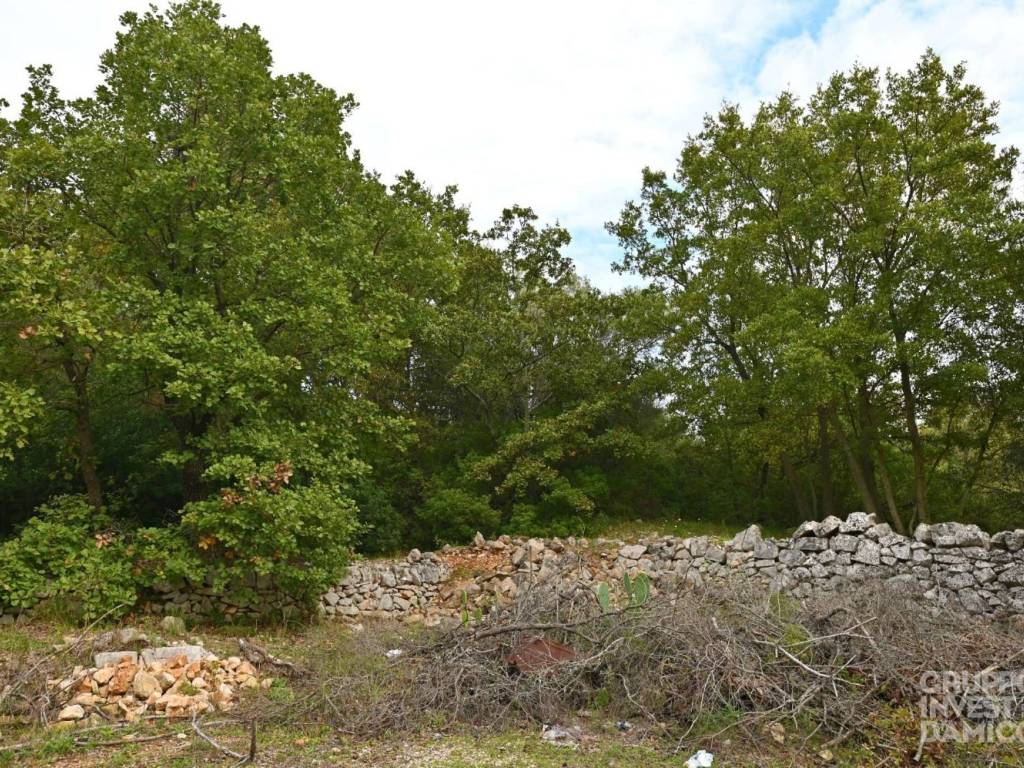 Terreno a Ostuni in contrada satia - Foto 2