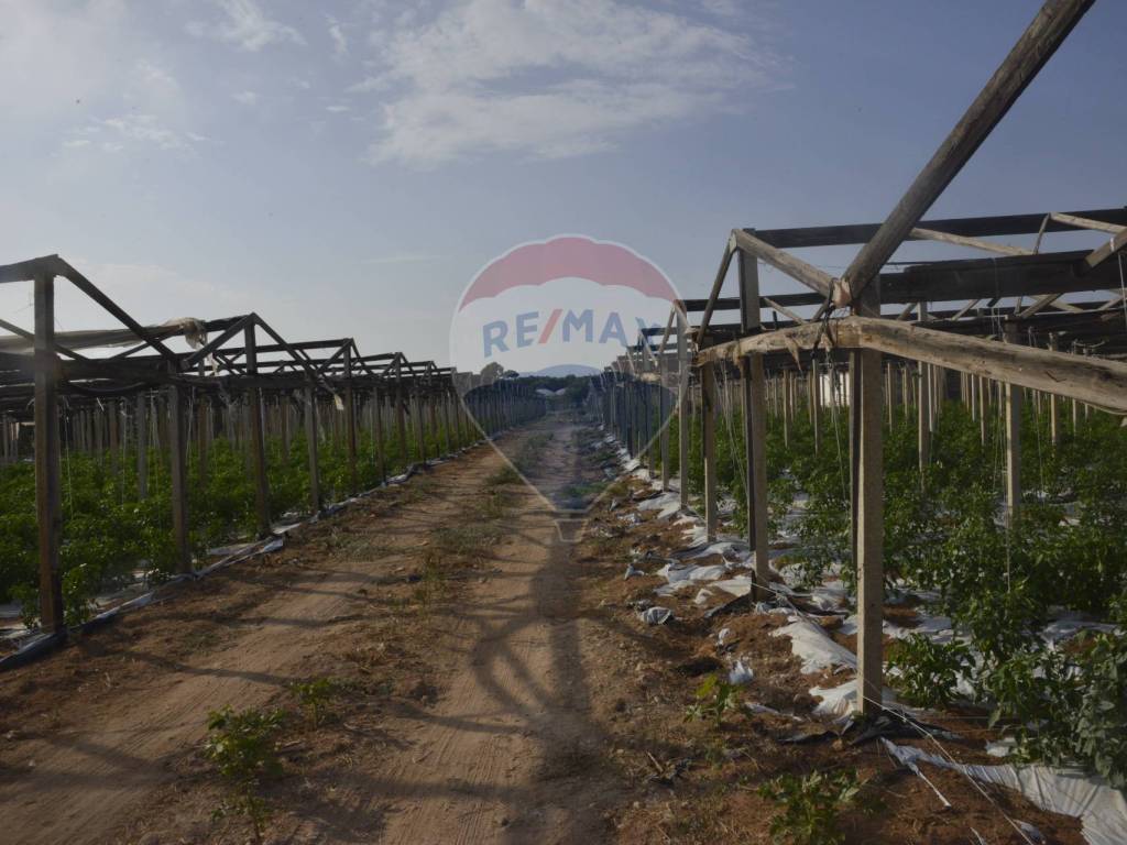 Terreno a Vittoria in contrada/Pozzo Bollente f. catastale 84 particeelle(11) - Foto 2