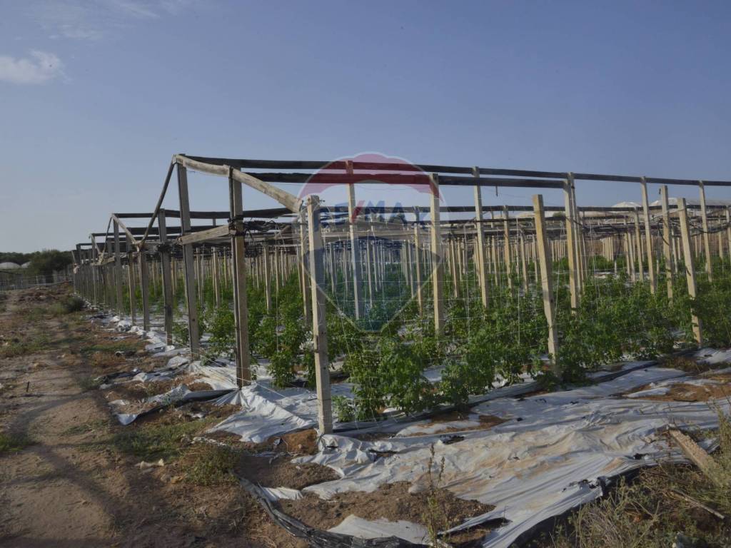 Terreno a Vittoria in contrada/Pozzo Bollente f. catastale 84 particeelle(11) - Foto 4