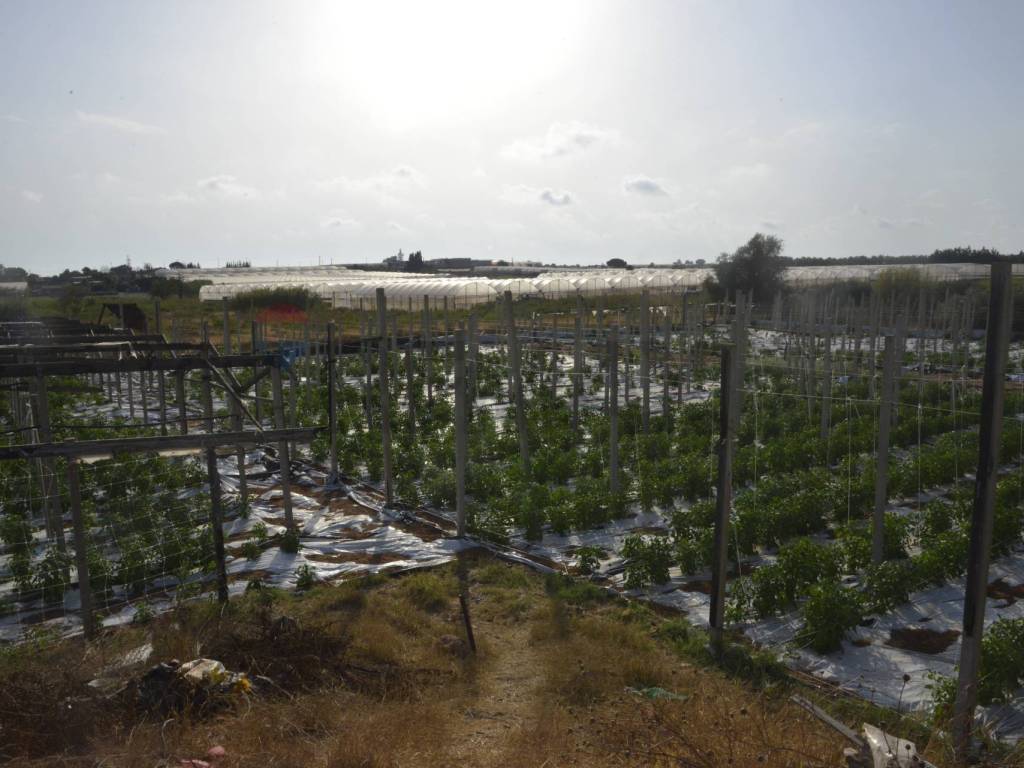 Terreno a Vittoria in C.da Pozzo Bollente - Foto 5