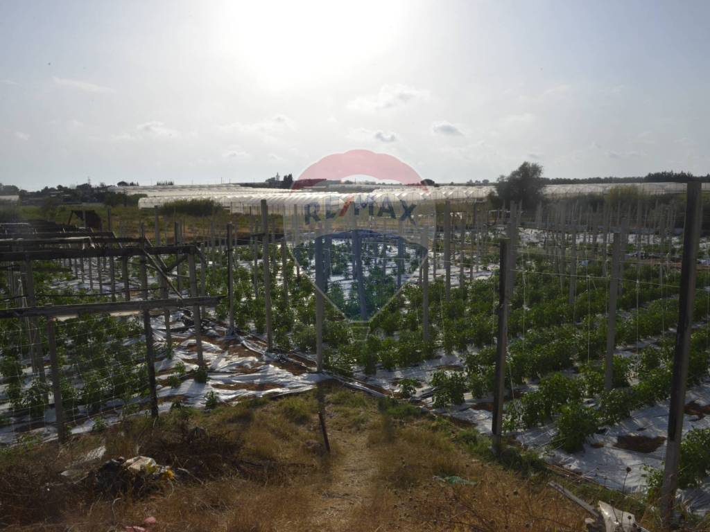 Terreno a Vittoria in contrada/Pozzo Bollente f. catastale 84 particeelle(11) - Foto 5