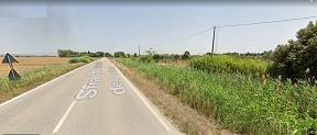 Terreno a Grosseto - Foto 3
