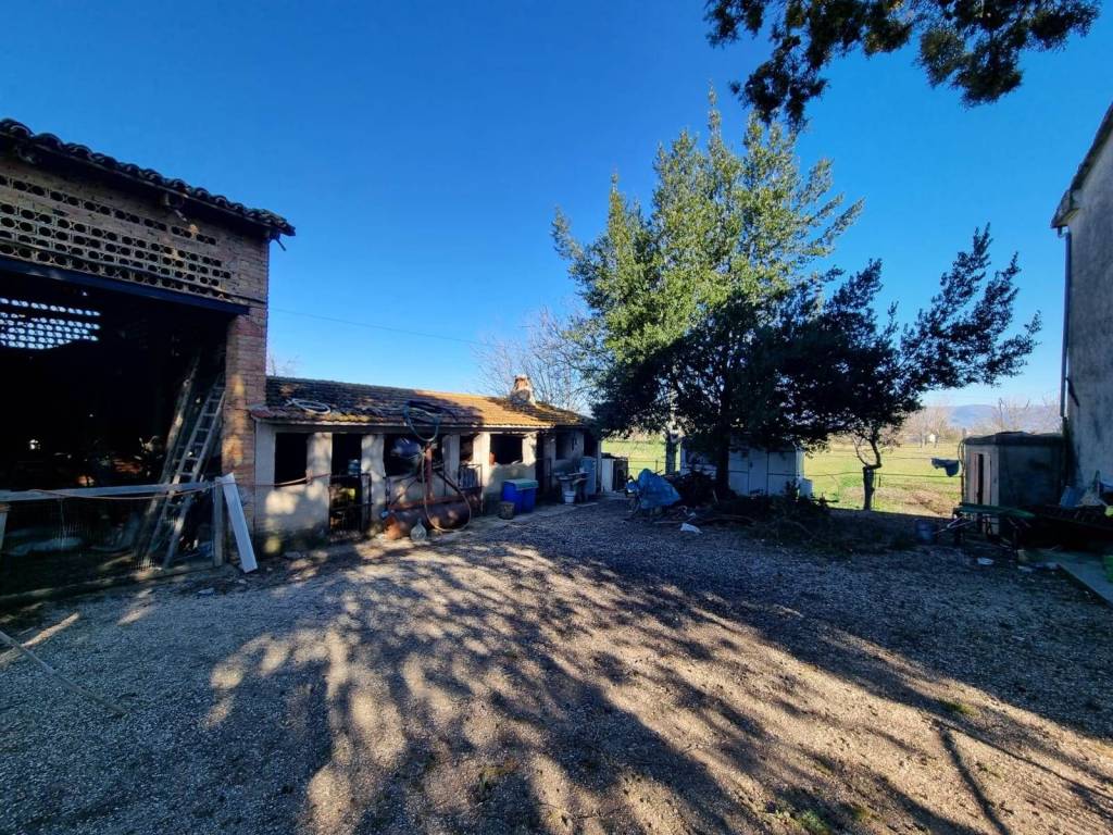 Terreno a Bevagna - Foto 2