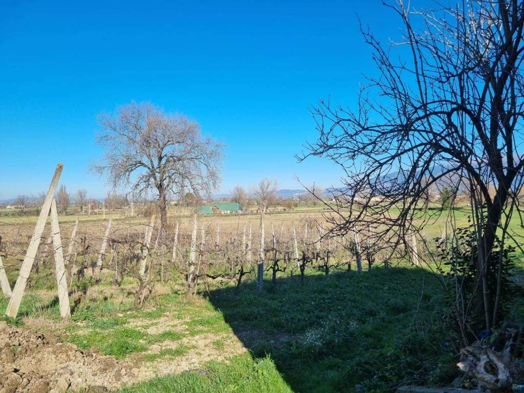 Terreno a Bevagna - Foto 3