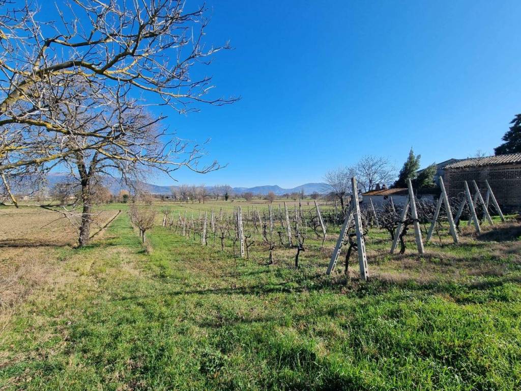 Terreno a Bevagna - Foto 4