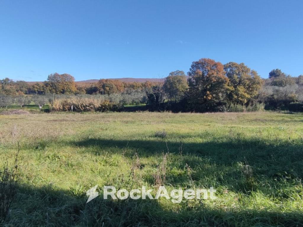 Terreno a Vetralla in Strada delle Carcarelle, 31 - Foto 2