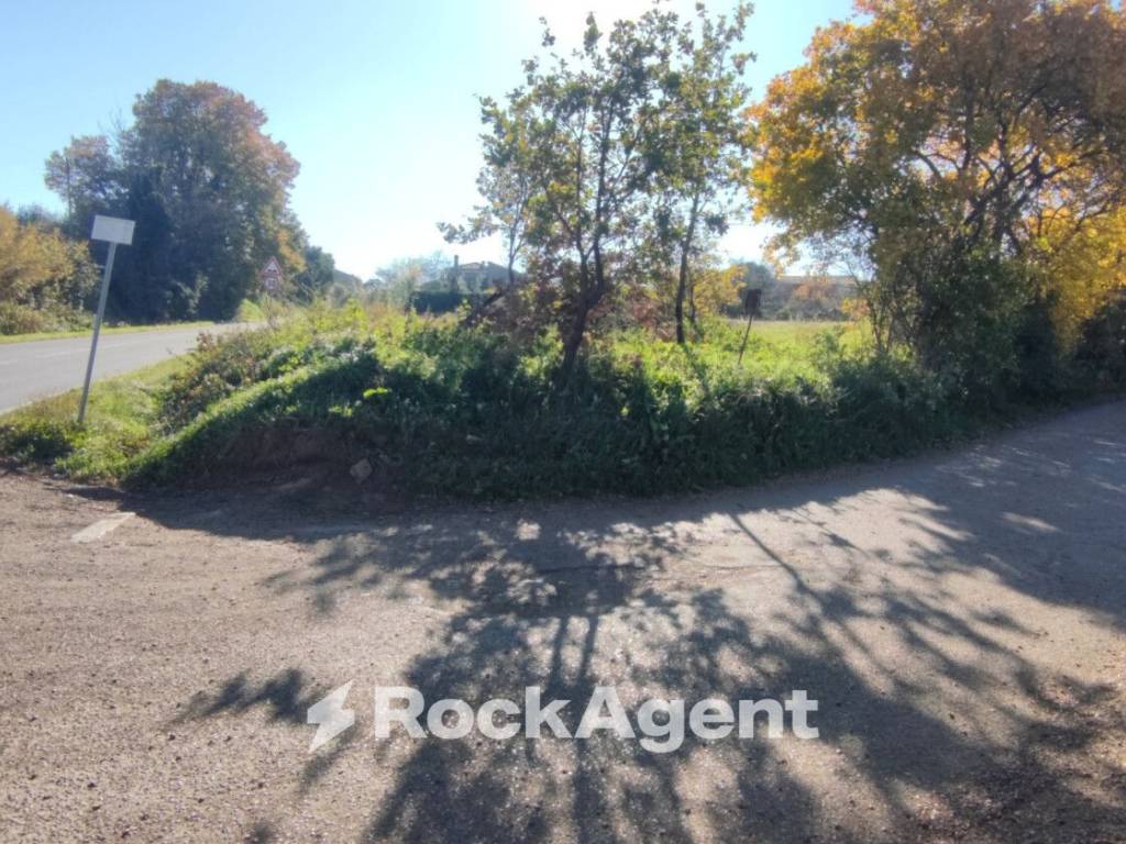 Terreno a Vetralla in Strada delle Carcarelle, 31 - Foto 4