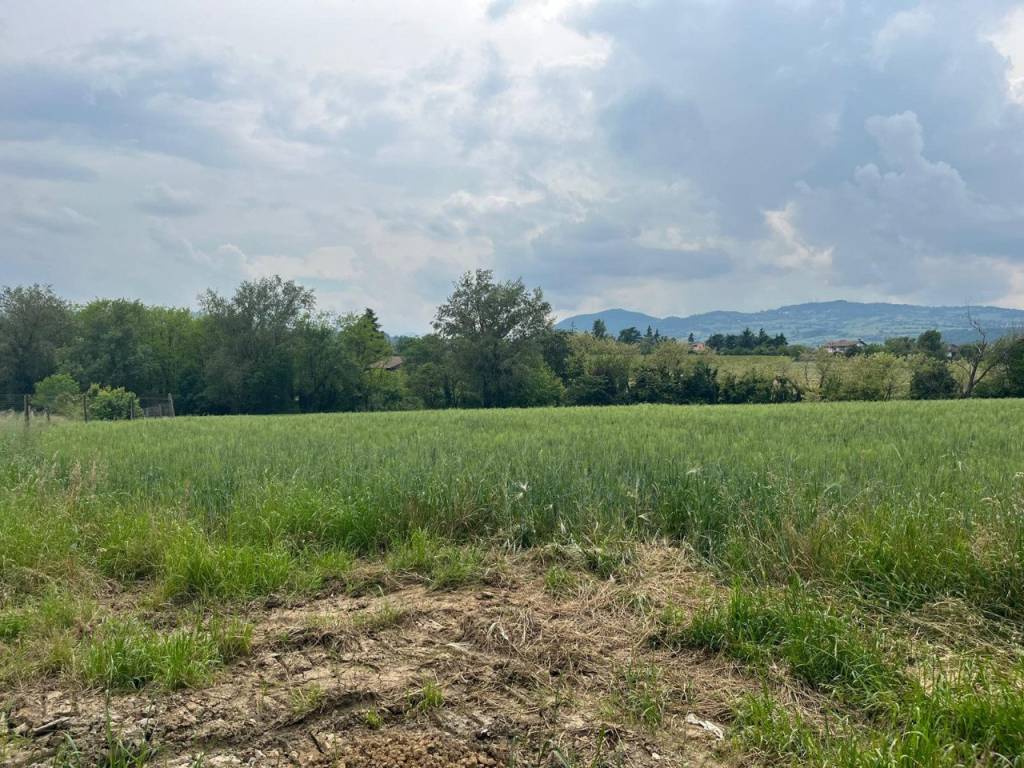 Terreno a Rivergaro in ancarano di sopra - Foto 2