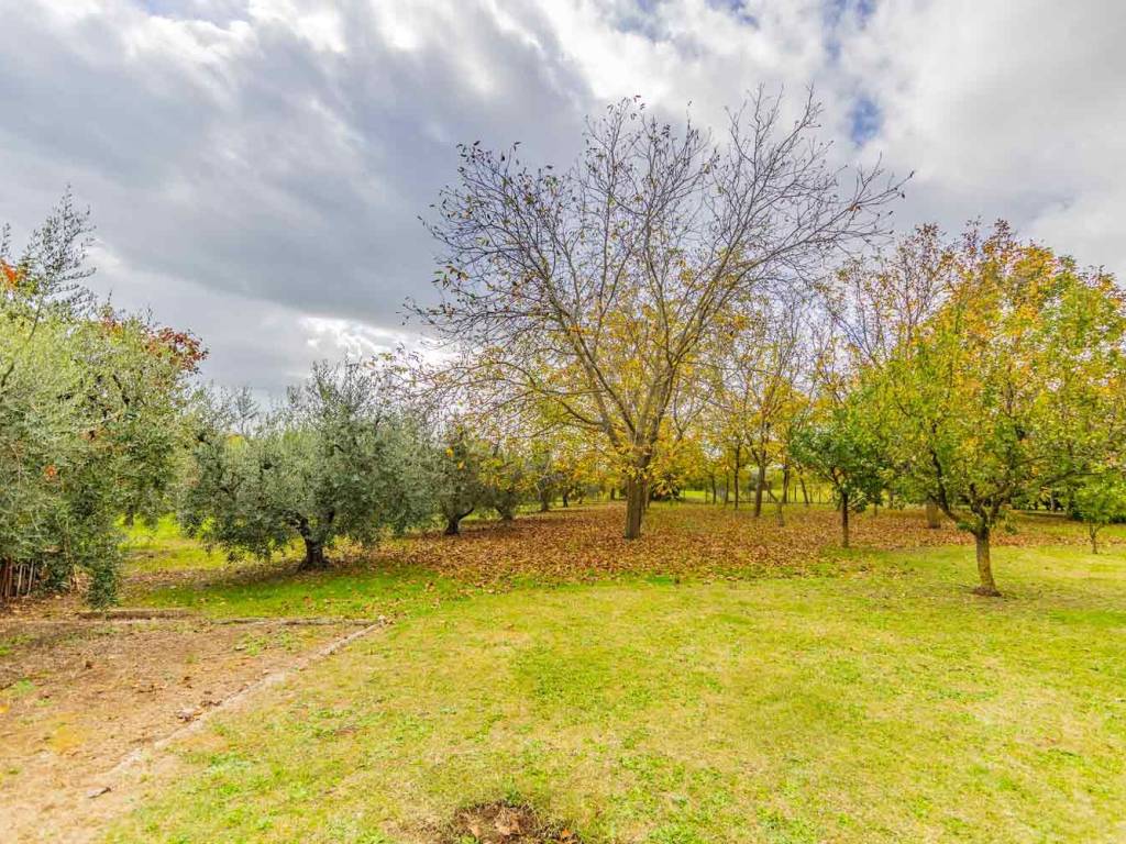 Villa a Velletri in Via Catalini - Foto 3