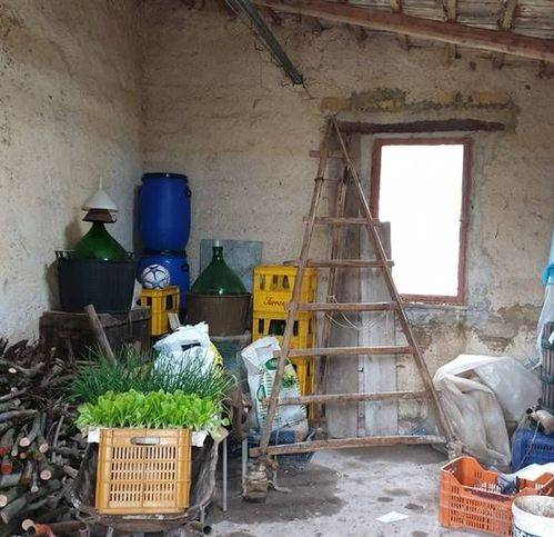 Terreno a Cellole - Foto 4