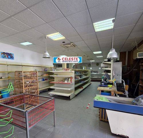 Immobile a Cellole in Via Degli Eucalipti - Foto 4