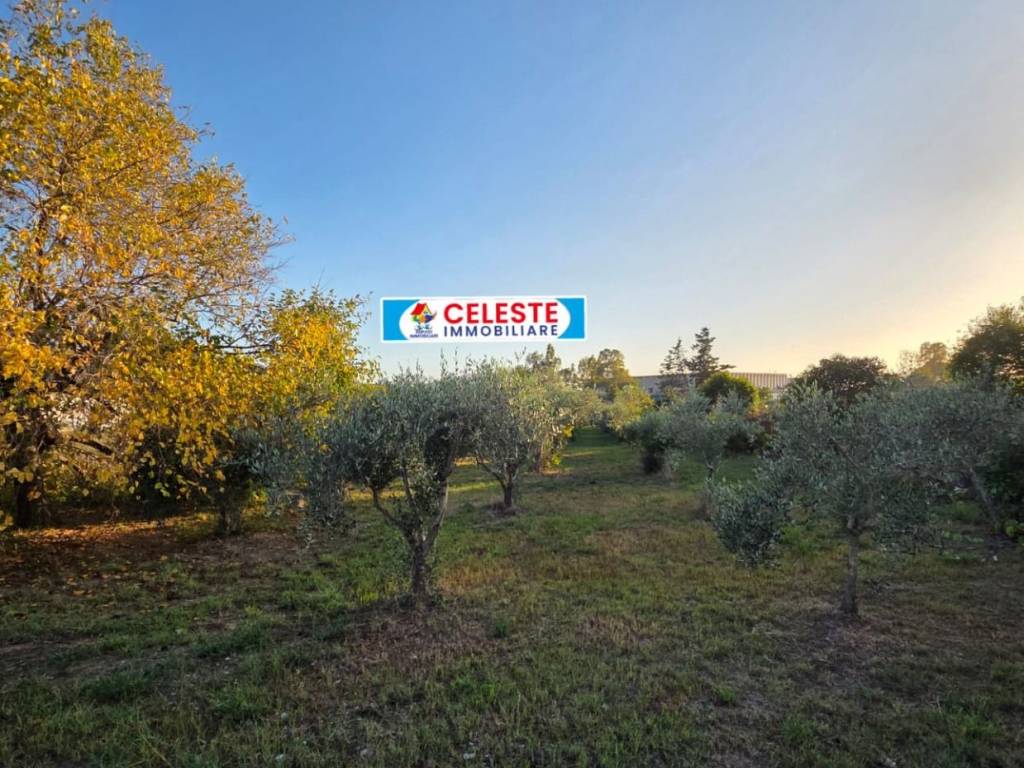 Villa a Cellole in Via Piedimonte - Foto 4