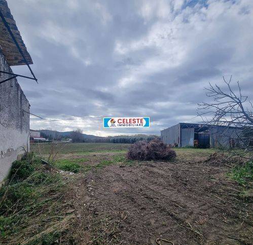 Rustico / casale a Cellole in Località San Marco - Foto 3