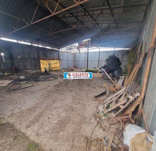 Rustico / casale a Cellole in Località San Marco - Foto 4