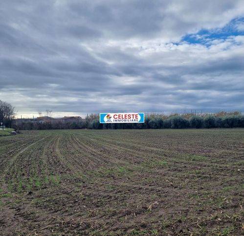 Rustico / casale a Cellole in Via San Marco 5 - Foto 2