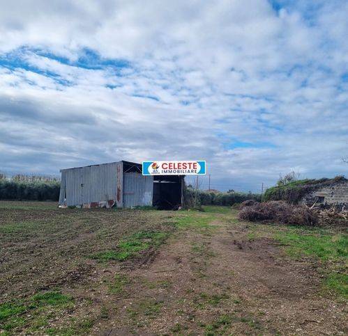 Rustico / casale a Cellole in Via San Marco 5 - Foto 3