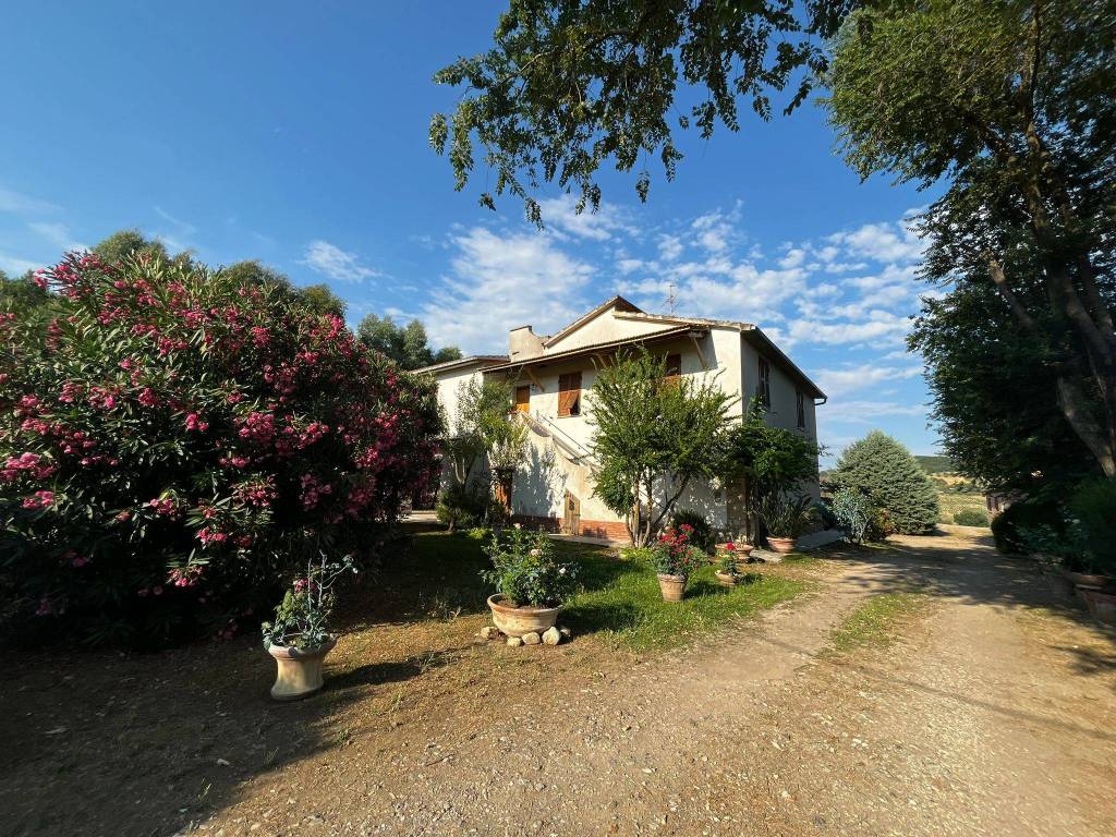 Rustico / casale a Magliano in toscana - Foto 4