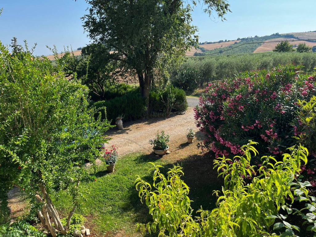 Rustico / casale a Magliano in toscana - Foto 5