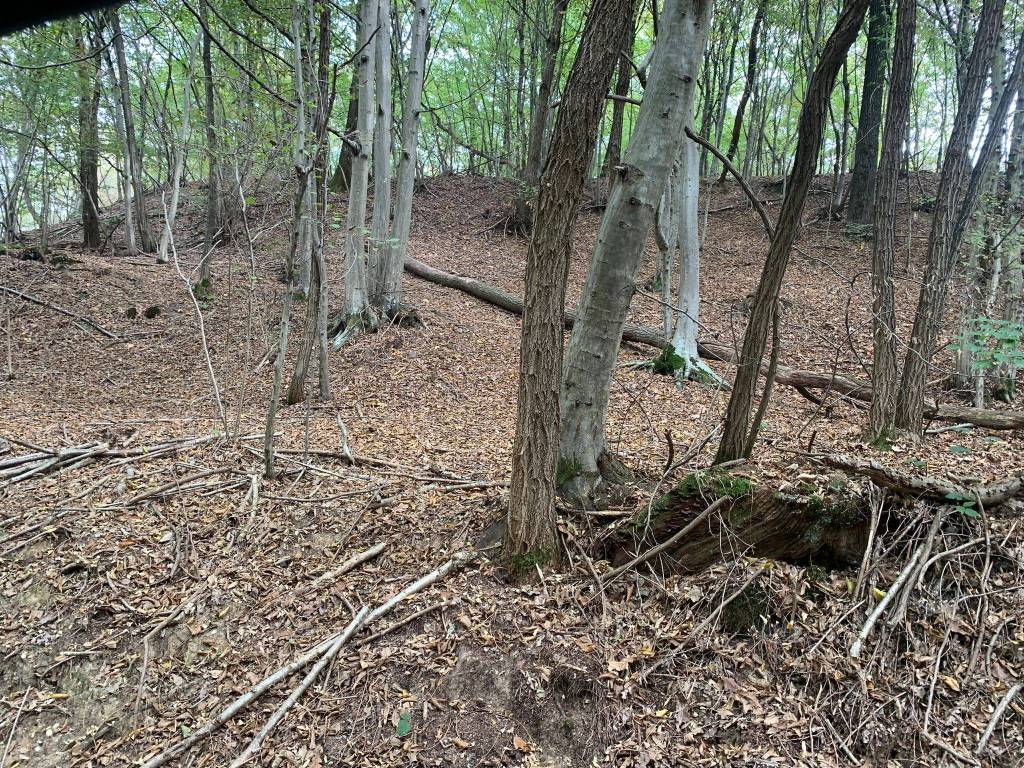 Terreno a Piossasco in Regione Mompalà, 59 - Foto 2