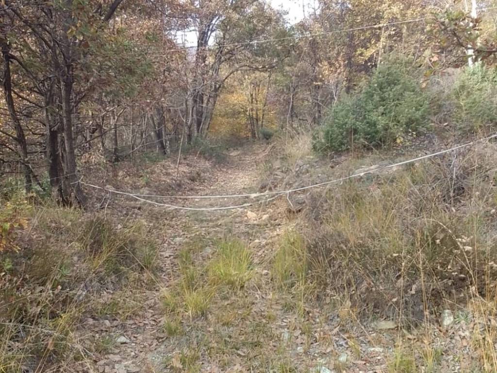 Terreno a Piossasco in Regione Mompalà, 59 - Foto 3