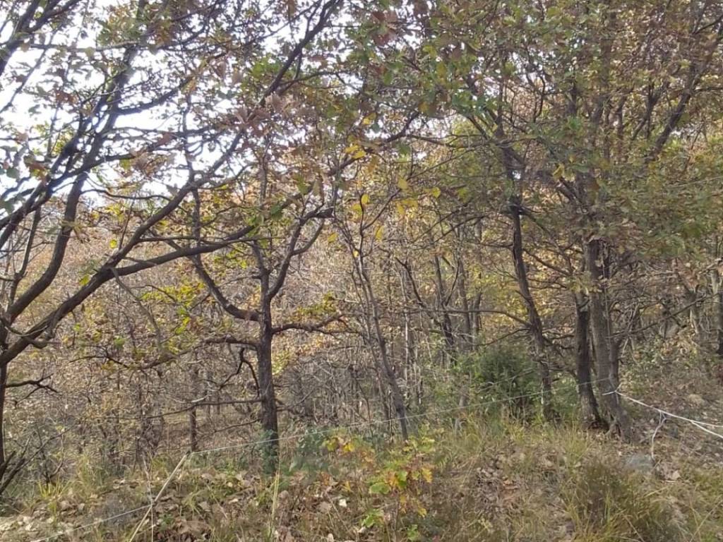 Terreno a Piossasco in Regione Mompalà, 59 - Foto 4