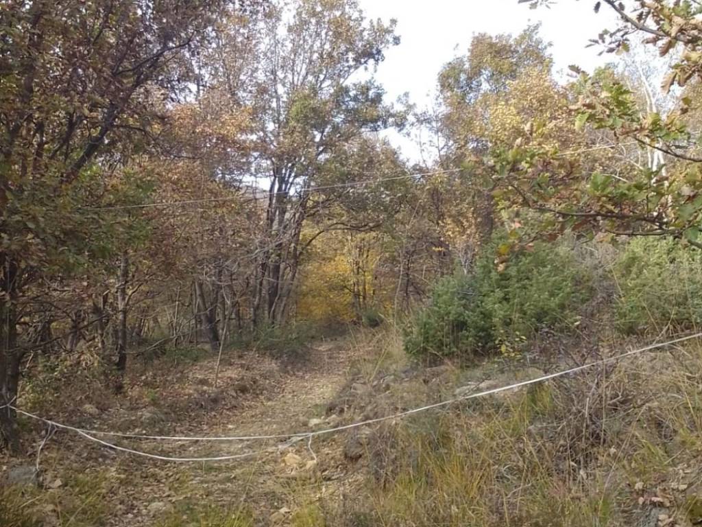 Terreno a Piossasco in Regione Mompalà, 59 - Foto 5