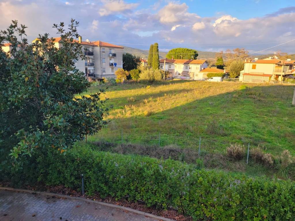 Terreno a Gavorrano - Foto 3