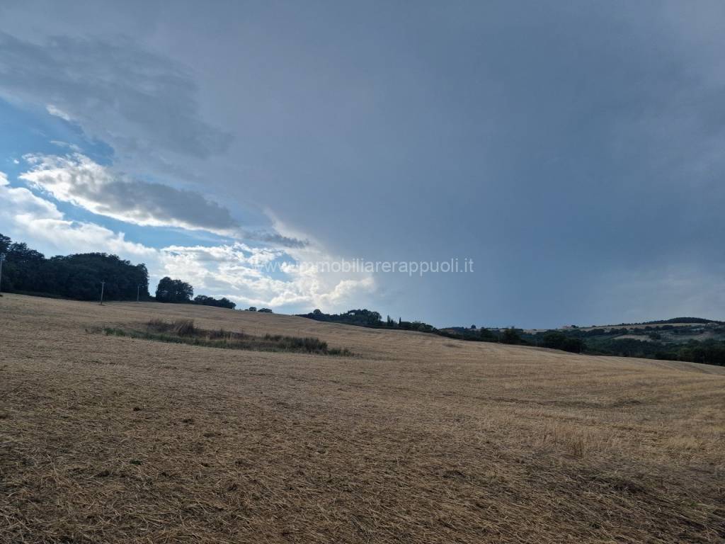 Terreno a Montepulciano - Foto 2