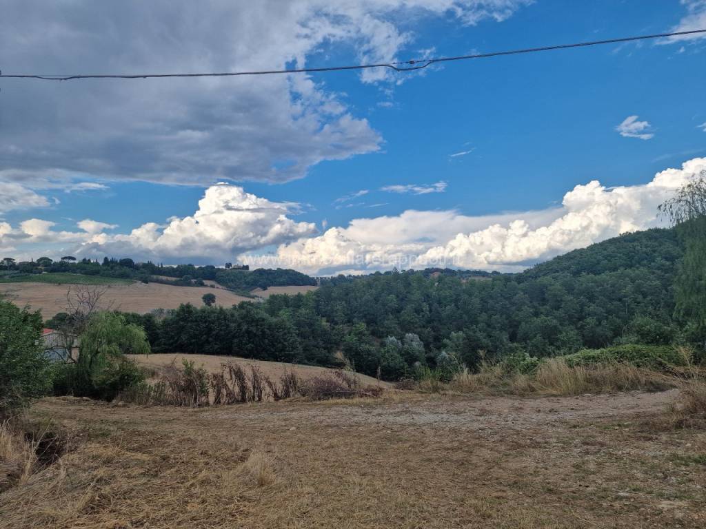 Terreno a Montepulciano - Foto 3