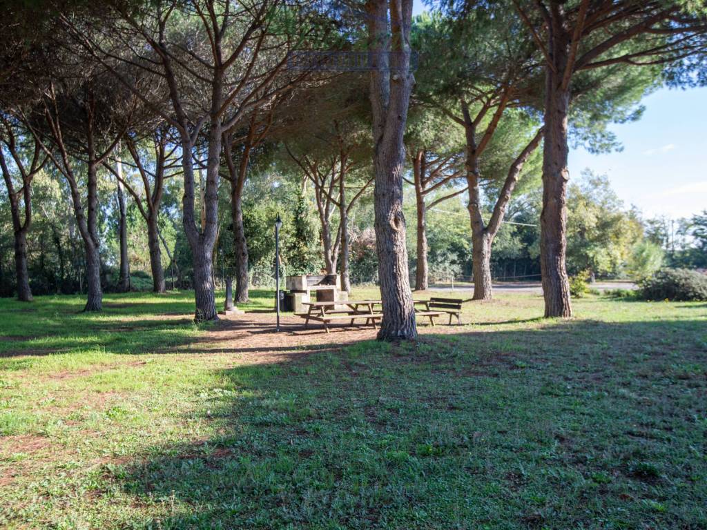 Appartamento a Capalbio in Località Chiarone Scalo - Foto 5