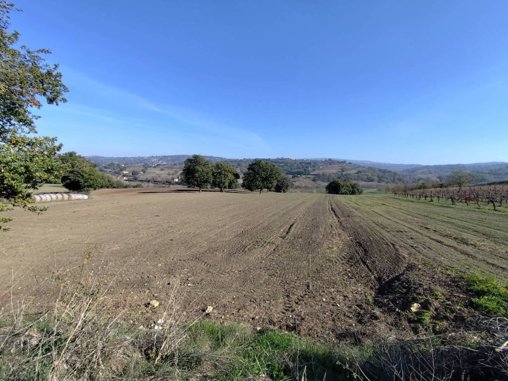 Terreno a Torre le nocelle - Foto 2
