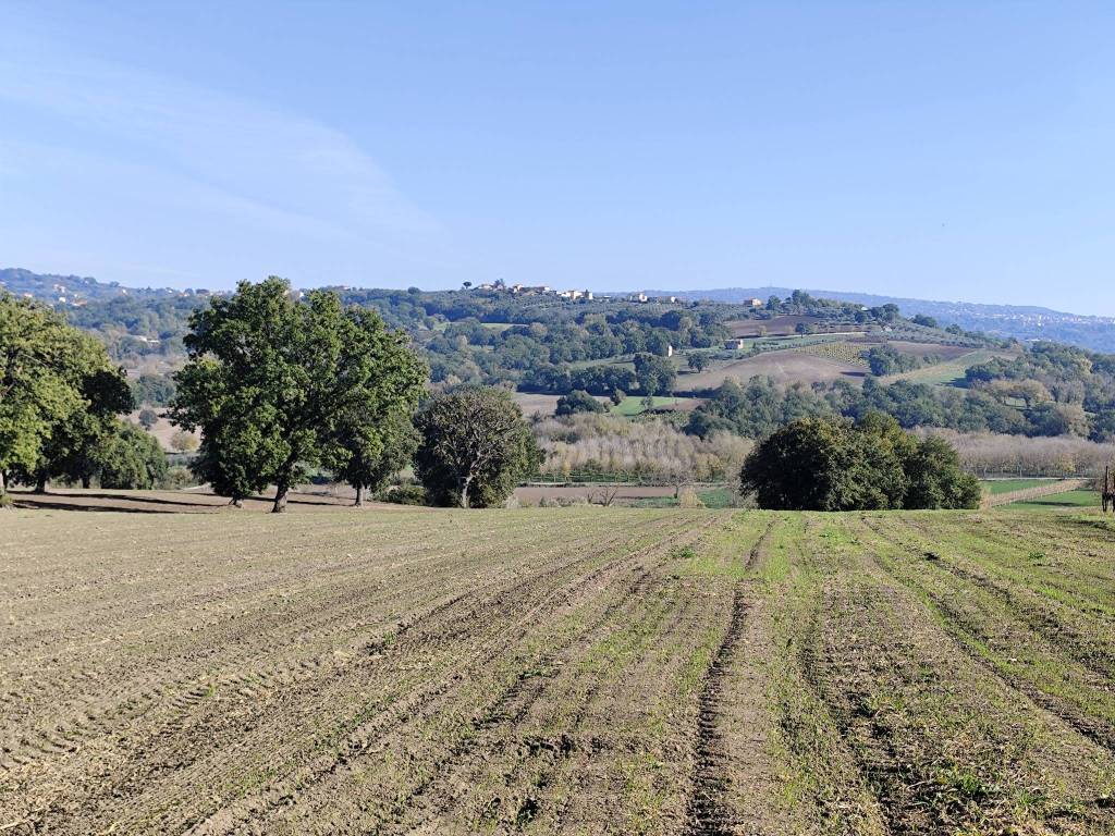 Terreno a Torre le nocelle - Foto 3