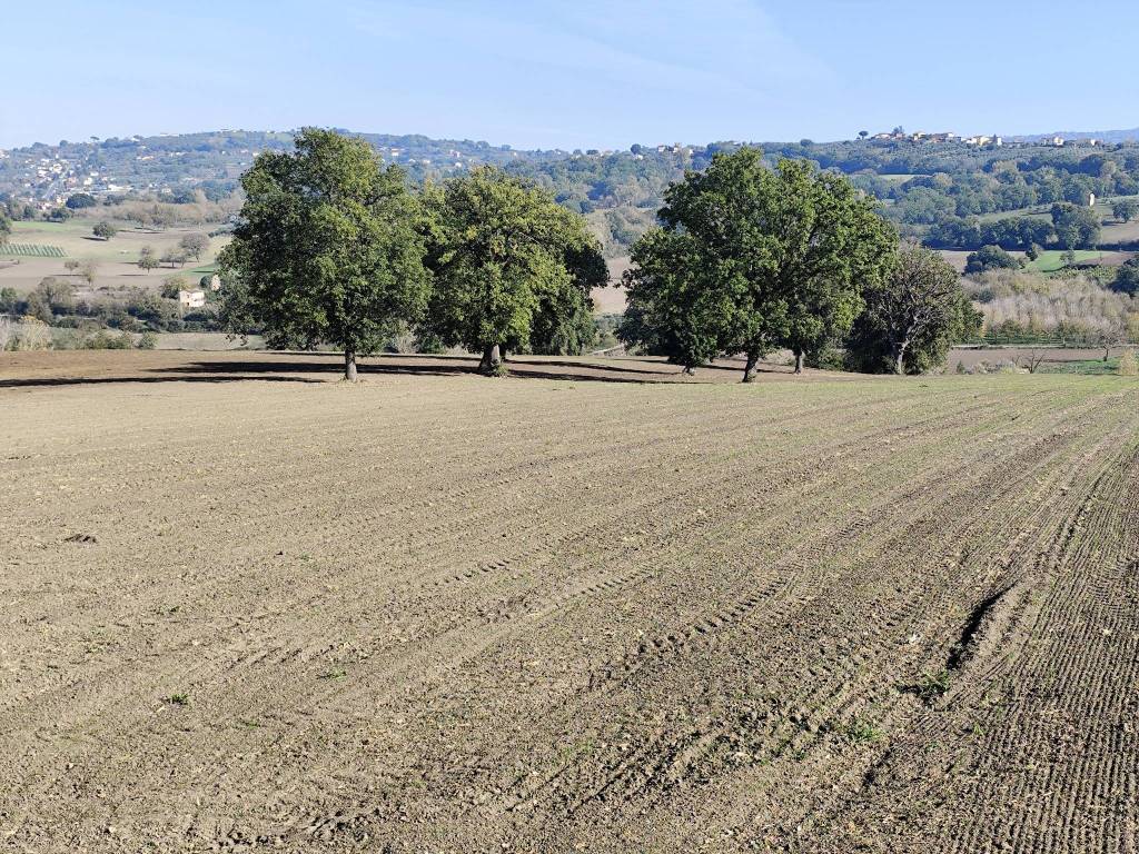 Terreno a Torre le nocelle - Foto 4