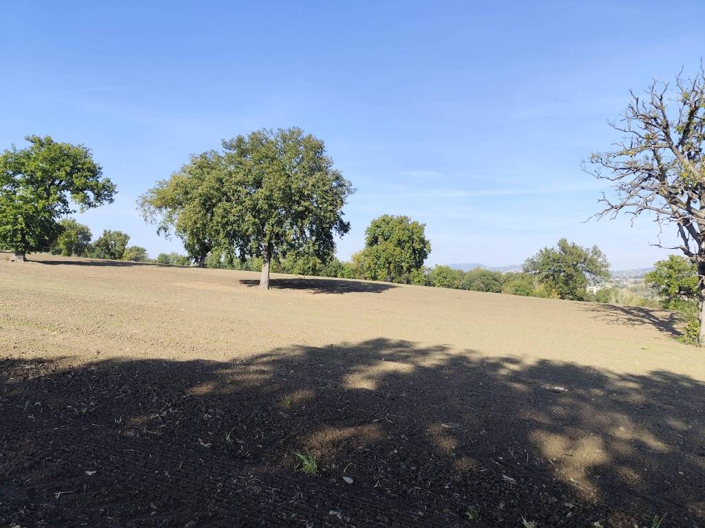 Terreno a Torre le nocelle - Foto 5