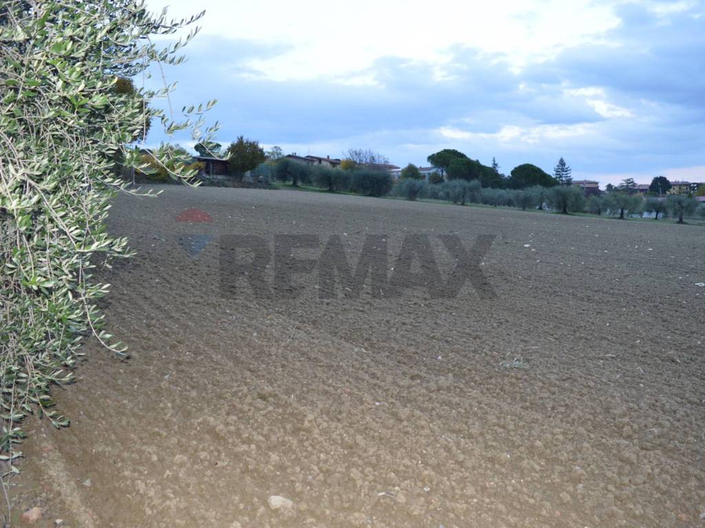 Terreno a Marsciano - Foto 2
