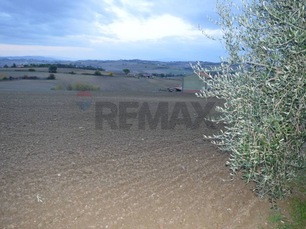 Terreno a Marsciano - Foto 3